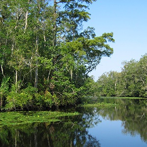 Boating Access - Shelter Creek